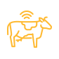 Vernetzte Werkzeuge und IoT